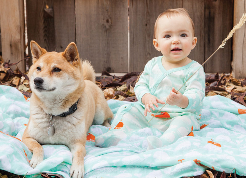 Pet Project