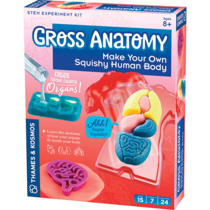 Thames & Kosmos Gross Anatomy - Slime casts of organs arranged in a plastic torso, complete with scalpel for pretend play.