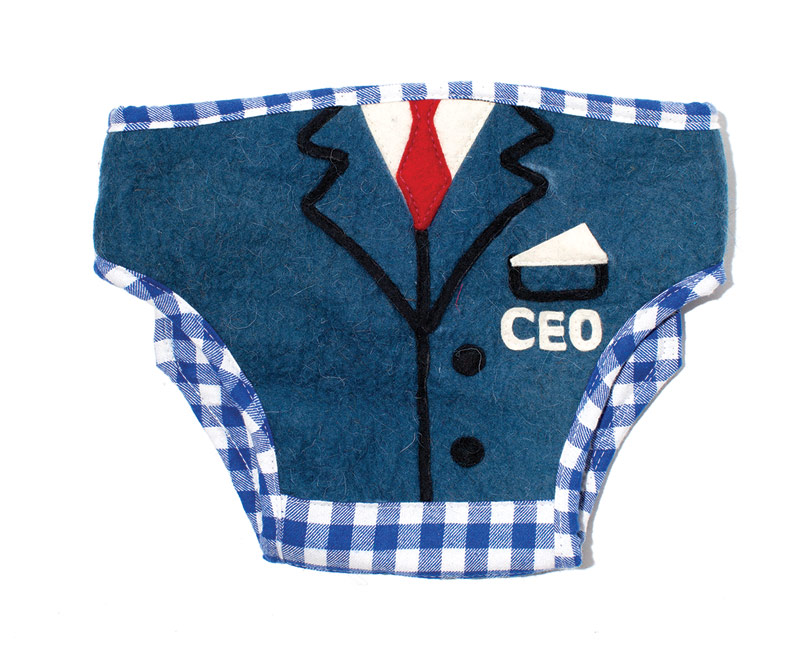 Zooties diaper cover