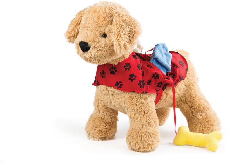 North American Bear puppy activity toy
