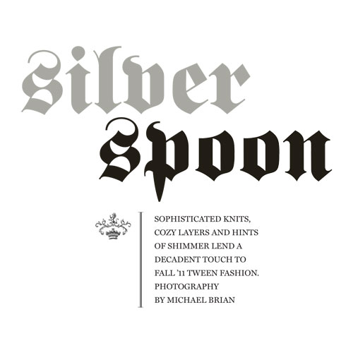 Silver Spoon