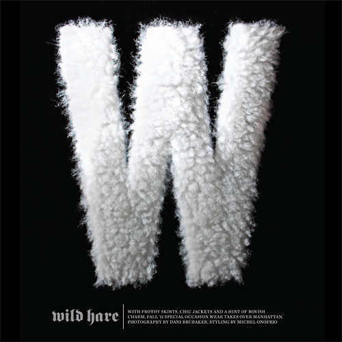 Wild Hare