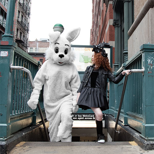 Wild Hare