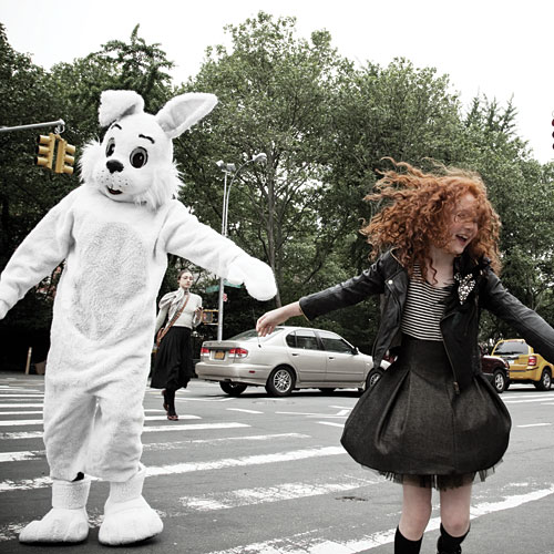 Wild Hare