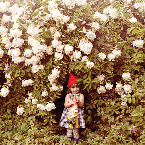 Gnome Is Where The Heart Is