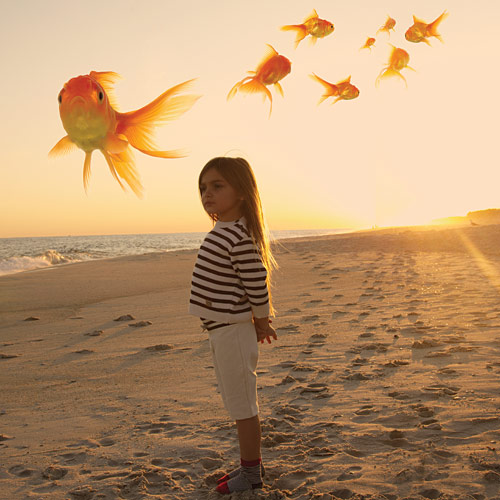 Flying High