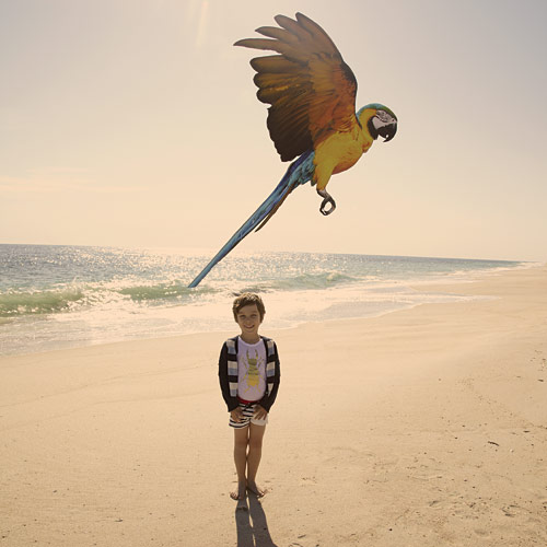 Flying High
