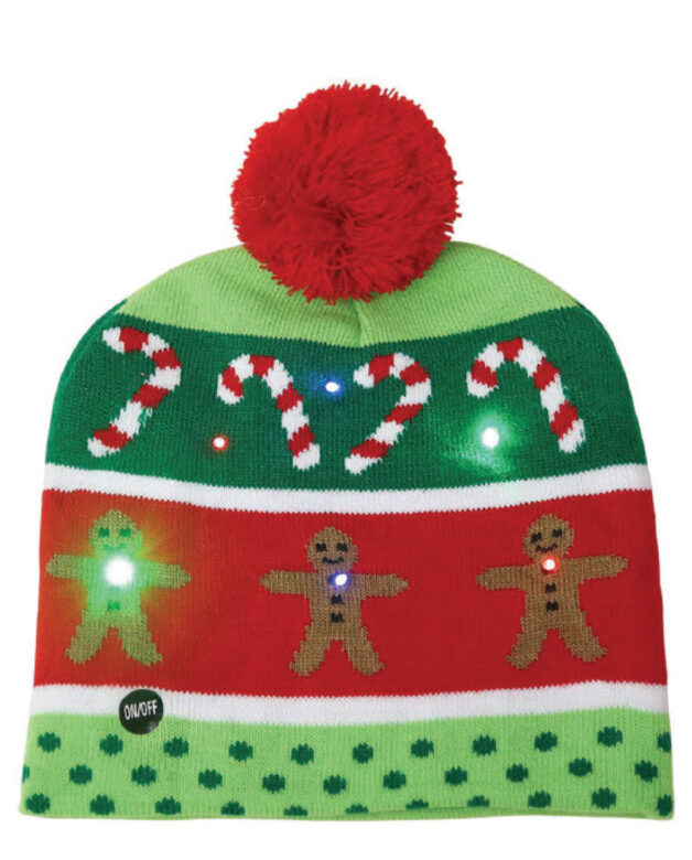 Asher & Emery light-up hat
